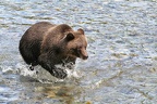img 5019 (1244355 Besuche) img 5019
